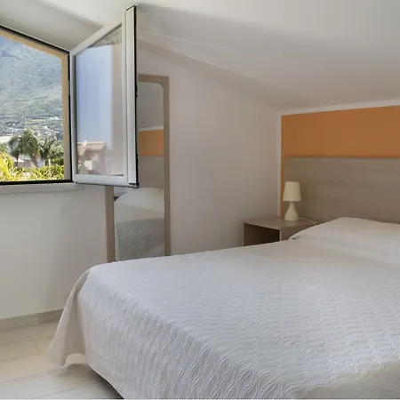 Borgo Aranci - Tulipano *